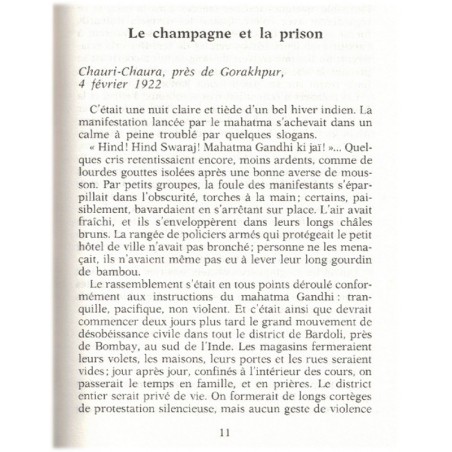 Pour l'amour de l'Inde, Catherine Clément, 1996 - amours du pandit Nehru et épouse de Lord Mounbatten, Indes,