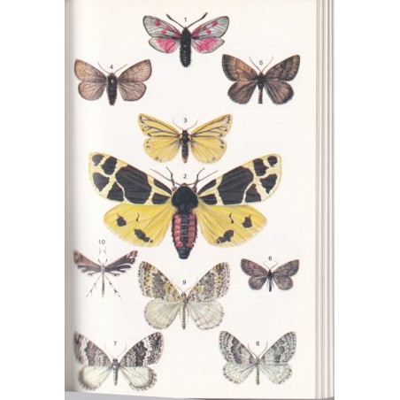 Pflanzen und Tierwelt der Alpen, Schauer, 1975 - plantes de montagne, fleurs, animaux de montagne, botanique, Natur, Tiere,