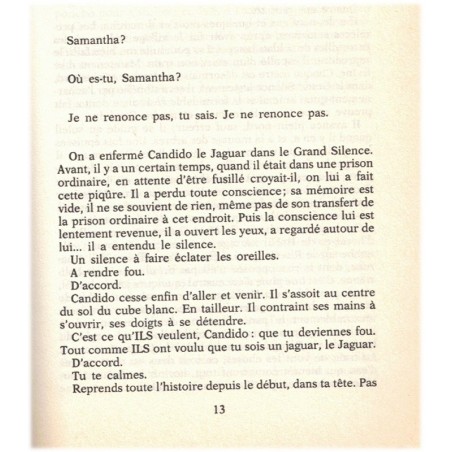 Le jaguar, Loup Durand, 1989 - mystère
