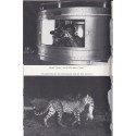 Caméras dans la brousse, François Bel et Gérard Vienne, 1976-. animaux sauvages, safari photos