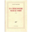 La chaussure sur le toit, Vincent Delecroix, 2007 - portraits de personnages médiocres ou drolatiques roman