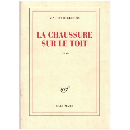 La chaussure sur le toit, Vincent Delecroix, 2007 - portraits de personnages médiocres ou drolatiques roman