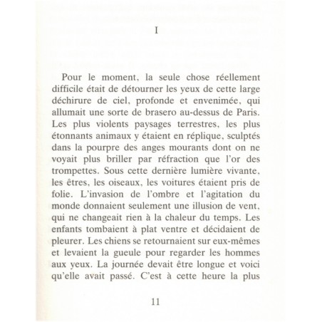 Mes nuits sont plus belles que vos jours, Raphaële Billetdoux, 1986 - rencontre amoureuse