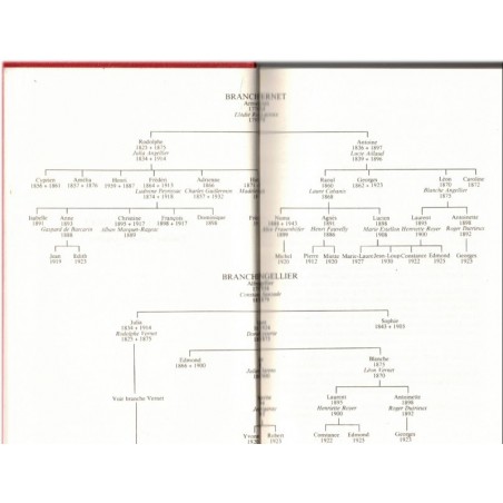Les gens de Mogador, Dominique tome 1, Elisabeth Barbier, 1984 - saga familiale, roman historique, roman d'amour, série TV