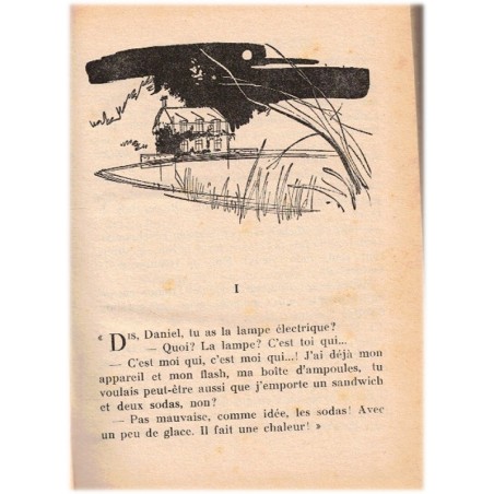 Michel et Monsieur X, Georges Bayard, 1976 - mystère, bibliothèque verte , bibliothèque verte