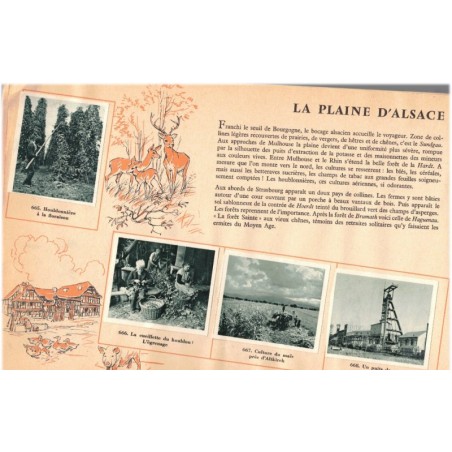 L'Alsace édité par la Chocolaterie Lanvin, Dijon, Album série N°6 - publicité, vignettes à coller, chocolats, gastronomie,