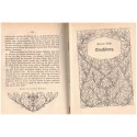 Oberlin, Roman aus der Revolutionszeit im Elsass, Friedrich Lienhard, 1912 - Révolution en Alsace, alsatiques
