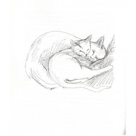 Les chats de hasard, Anny Duperey 1999 - romans animaliers, chats