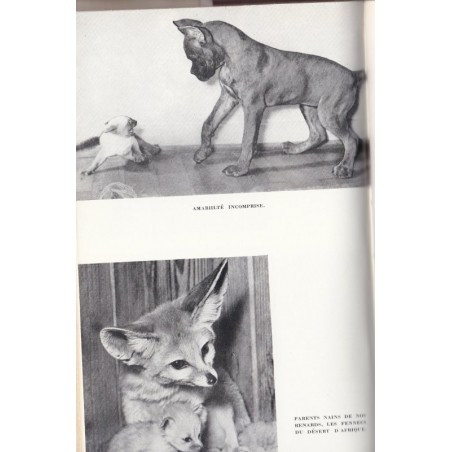 20 bêtes 1 homme, Bernard Grzimek, 1958 - animaux sauvages, comportement animaux