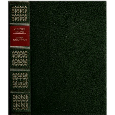 Numa Roumestan, Alphonse Daudet, 1966 - ascension d'un bourgeois XIXe siècle