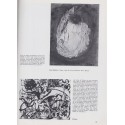 Peinture moderne depuis 1944 évolution et tendances - Le Jardin des Arts N°66 avril 1960 - peintres, art moderne, magazine arts