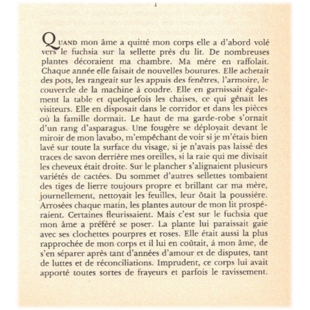 L'herbe à brûler, Conrad Detrez, 1978 - guérilla, Brésil années 1960, Amérique du Sud, Belgique