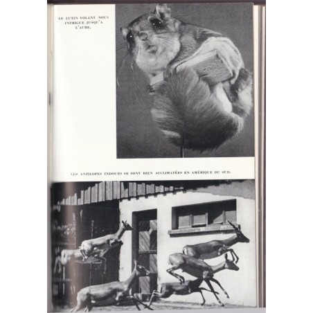 20 bêtes 1 homme, Bernard Grzimek, 1958 - animaux sauvages, comportement animaux