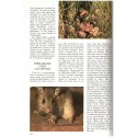 La symphonie animale, Les animaux entre eux,  1979 - sexualité des animaux, zoologie, animaux sauvages,