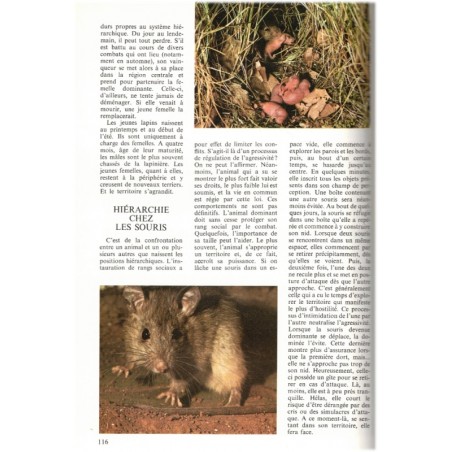 La symphonie animale, Les animaux entre eux,  1979 - sexualité des animaux, zoologie, animaux sauvages,