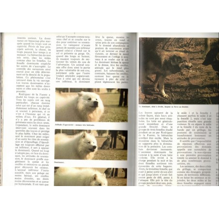 La symphonie animale, Les animaux entre eux,  1979 - sexualité des animaux, zoologie, animaux sauvages,