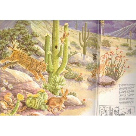 Le monde vivant, Michaël Chinery, Solar, 1977 - animaux, flore, nature, écologie