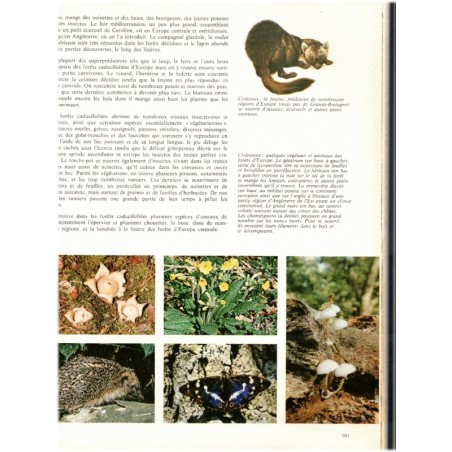 Le monde vivant, Michaël Chinery, Solar, 1977 - animaux, flore, nature, écologie