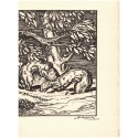 Histoires de bêtes, Louis Pergaud, 1925 - édition numérotée, illustrateur Deluermoz, contes, animaux sauvages