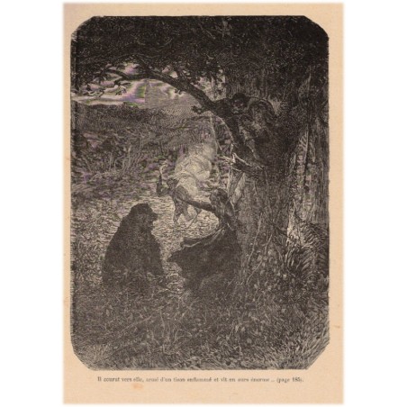 Les vrais Robinsons, naufrages solitudes voyages, Ferdinand Denis, Victor Chauvin, 1903 - marins, naufragés, mer,