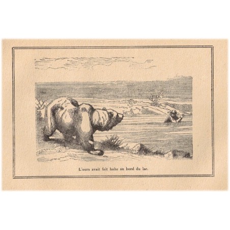 Le cheval blanc de la prairie, Mayne-Reid - animaux sauvages, Far West, cow-boys, Etats-Unis XIXe siècle, roman d'aventure