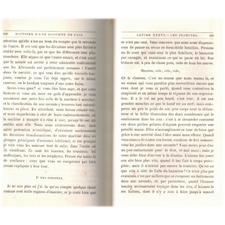 Histoire d'un bouchée de pain, Jean Macé, 1861 - sciences naturelles et biologie expliquées aux enfants