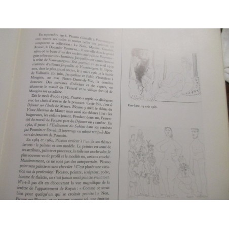 Picasso, les chefs-d'oeuvre, Danièle Boone, 1988 - peintres, art moderne