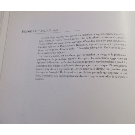 Picasso, les chefs-d'oeuvre, Danièle Boone, 1988 - peintres, art moderne