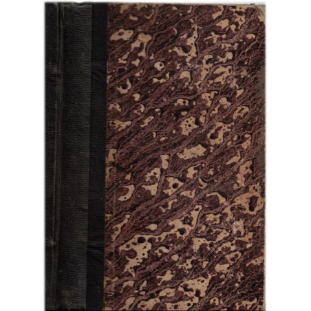 Les Robinsons français ou la Nouvelle-Calédonie, Morlent, 1861 - naufragé en mer, tribus indigènes, océan Pacifique, ethnologie,