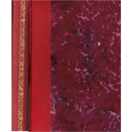 La filleule de Du Guesclin, Pierre Maël, 1901 - Bretagne, aventure historique