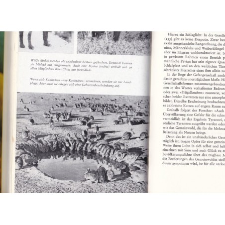 Die freundliche Bestie, Vitus Dröscher