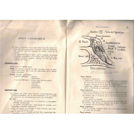 L'externat des hôpitaux de Paris, Anatomie tête cou, XIII crâne face, 1946  - anatomie, manuels de médecine