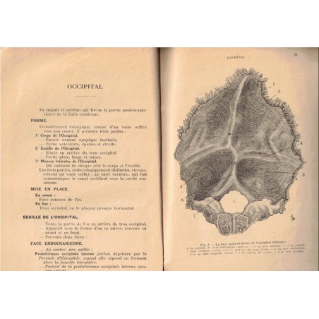 L'externat des hôpitaux de Paris, Anatomie tête cou, XII crâne, 1946  - anatomie, manuels de médecine