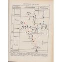 Sciences Naturelles, Anatomie physiologie animales, botanique, biologie, 1956, bac, Camefort et Gama, cours Obré -