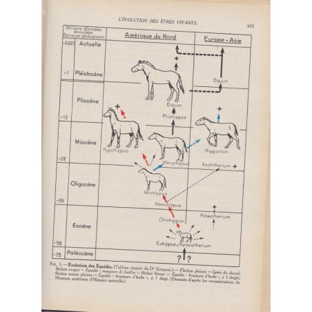 Sciences Naturelles, Anatomie physiologie animales, botanique, biologie, 1956, bac, Camefort et Gama, cours Obré -