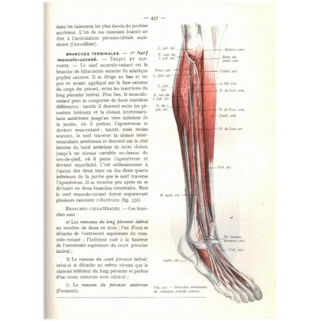 Anatomie humaine, T3 membres, système nerveux central, Rouvière 1970 - anatomie, manuels de médecine