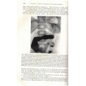 Krankheiten der Verdauungsorgane, Handbuch der inneren Medizin, Bauman, 1938 - Medizin, , maladie, manuels de médecine