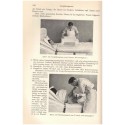 Biologische Therapie des praktischen Arztes, Heinz Bottenberg 1936 - Medizin, Lehrbuch, biologie, manuels de médecine