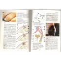Dictionnaire médical T1, André Domart et Jacques Bourneuf, Larousse thématique 1984 - maladies, pharmacologie,  manuels médecine