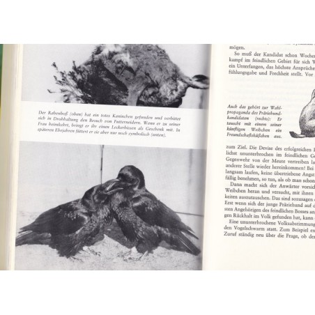 Die freundliche Bestie, Vitus Dröscher