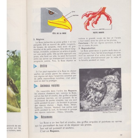 Manuel Sciences naturelles, classe de 6e, Garnier, Mercier, Pichard, 1958