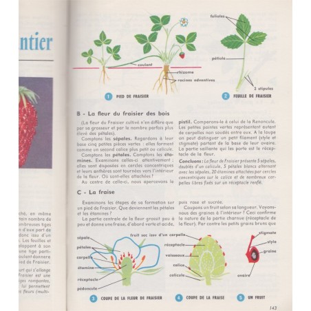 Manuel Sciences naturelles, classe de 6e, Garnier, Mercier, Pichard, 1958