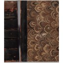 Traité de pathologie interne T2, S. Jaccoud 1883 - symptômes maladie, manuels de médecine