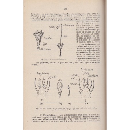 Sciences Naturelles, II morphologie, anatomie et physiologie végétales, 1949, Chantron - botanique,