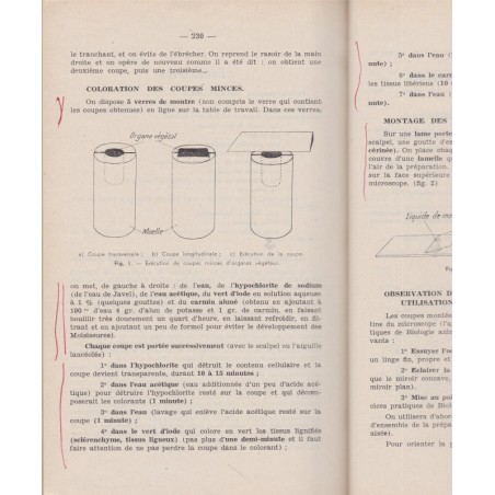 Sciences Naturelles, II morphologie, anatomie et physiologie végétales, 1949, Chantron - botanique,