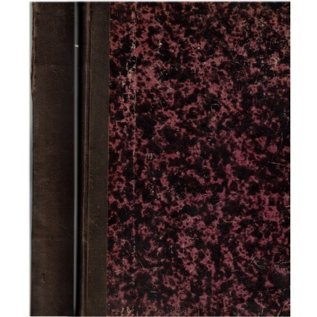 Oeuvres de Rabelais T1 , illustré par Robida , 1880 - satire, roman satirique, littérature XVIe siècle