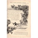 Oeuvres de Rabelais T1 , illustré par Robida , 1880 - satire, roman satirique, littérature XVIe siècle