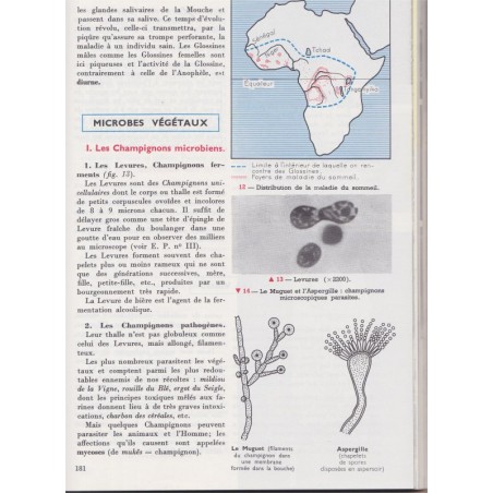 Manuel Sciences Naturelles, Paniel, classe de 3e, Cours Obré, 1968 -