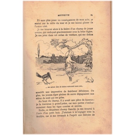 Mémoires d'une chatte, Moussette, Jean Rosnil, 1925 - roman animalier, humour, chats,