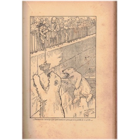 Mémoires d'une chatte, Moussette, Jean Rosnil, 1925 - roman animalier, humour, chats,